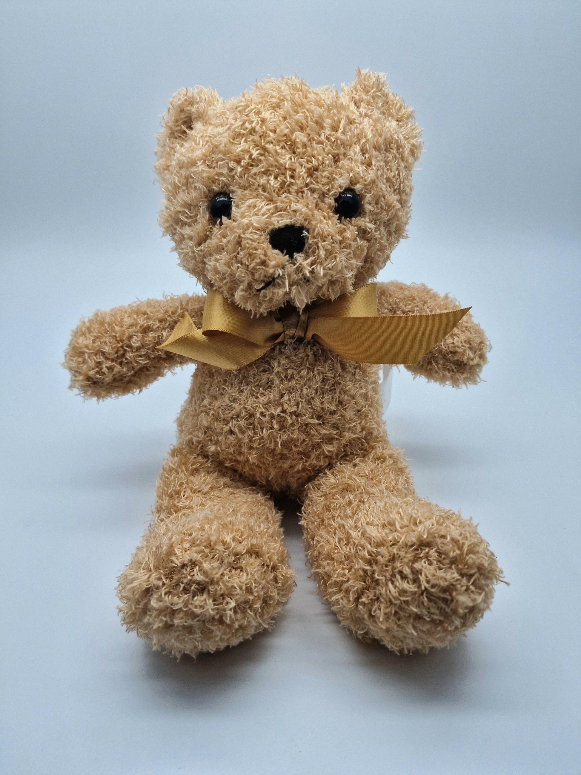 teddy - Tonyrefail Photo Gifts